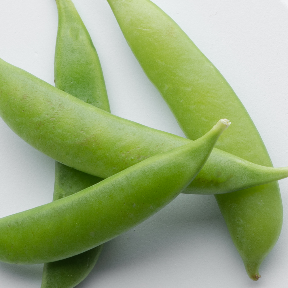 Organic Pea Protein
